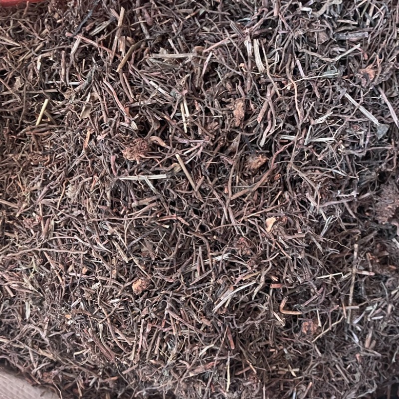 中药材茜草产地直售保真保量货源充足包邮