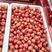山东济南大金星山楂红果商品果打浆果大量供应新鲜采摘对接