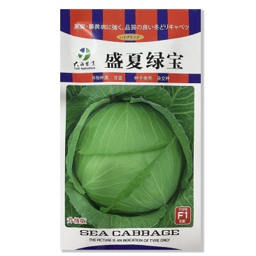 早熟圆球甘蓝种子一代杂交盛夏绿宝结球甘蓝抗病耐高温包菜夏