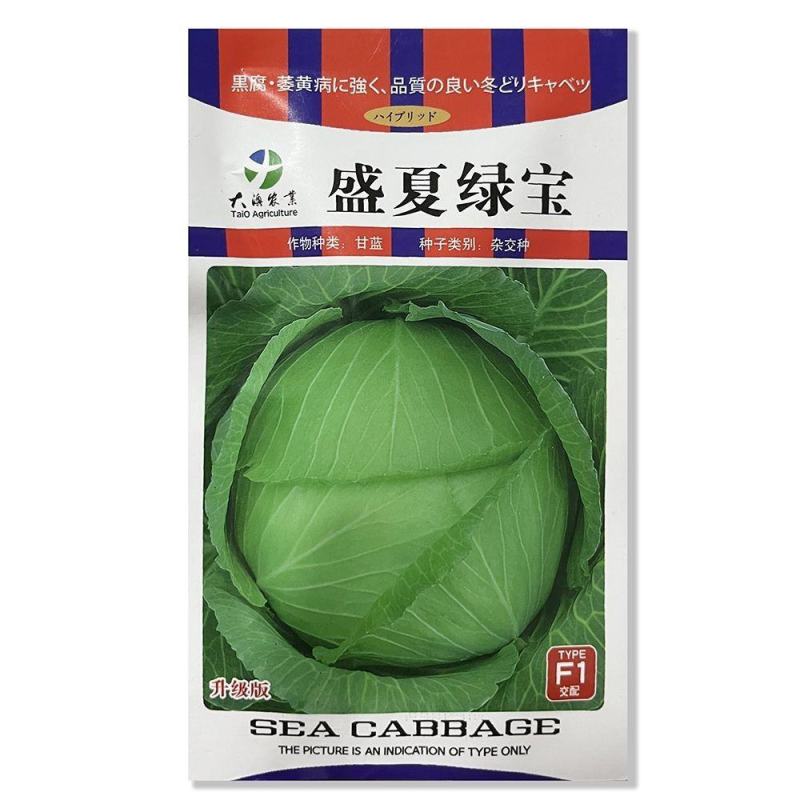 早熟圆球甘蓝种子一代杂交盛夏绿宝结球甘蓝抗病耐高温包菜夏