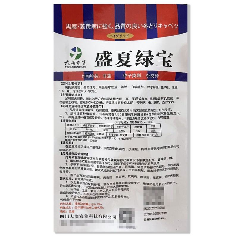 早熟圆球甘蓝种子一代杂交盛夏绿宝结球甘蓝抗病耐高温包菜夏