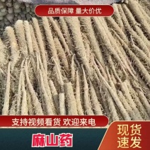 【麻山药】内黄县精品麻山药产地直供规格齐全可对接电商社区团购