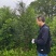 丛生红豆杉容器苗批发红豆杉供应红豆杉出售红豆杉基地