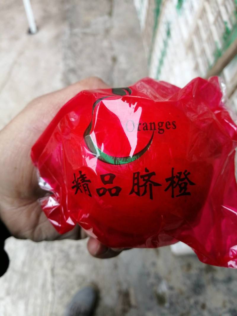 湘西纽荷尔橙子大量上市