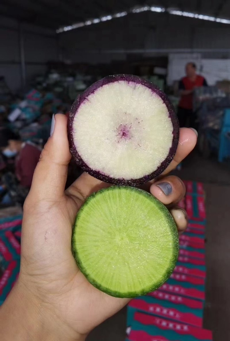 冰激凌萝卜上市，脆甜可口，礼盒包装，送礼佳品。