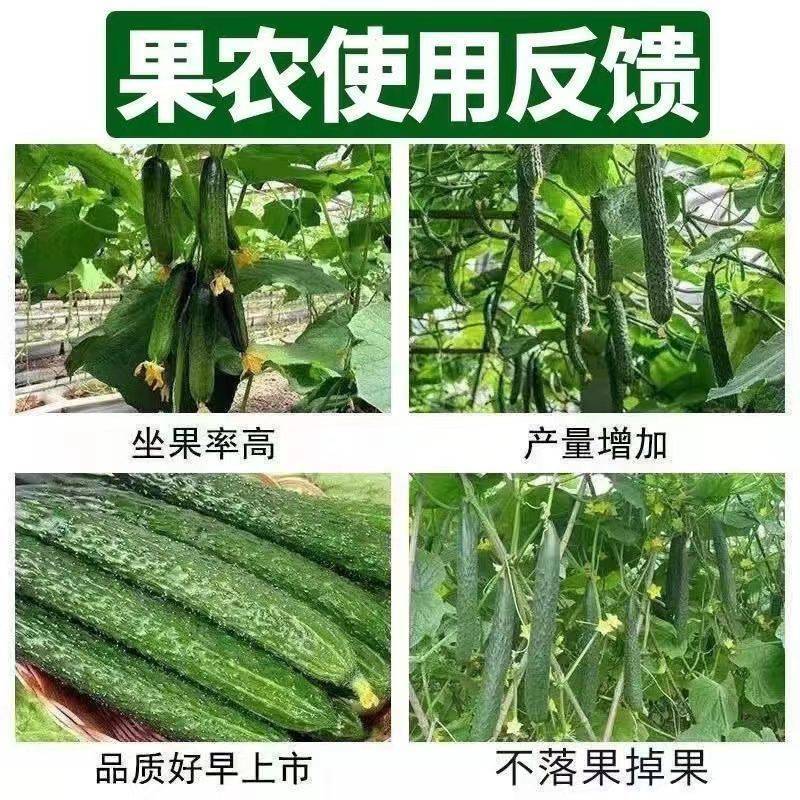 苦瓜嫩直长苦瓜专用肥保花保果膨大剂膨大素苦瓜增产抗病防畸