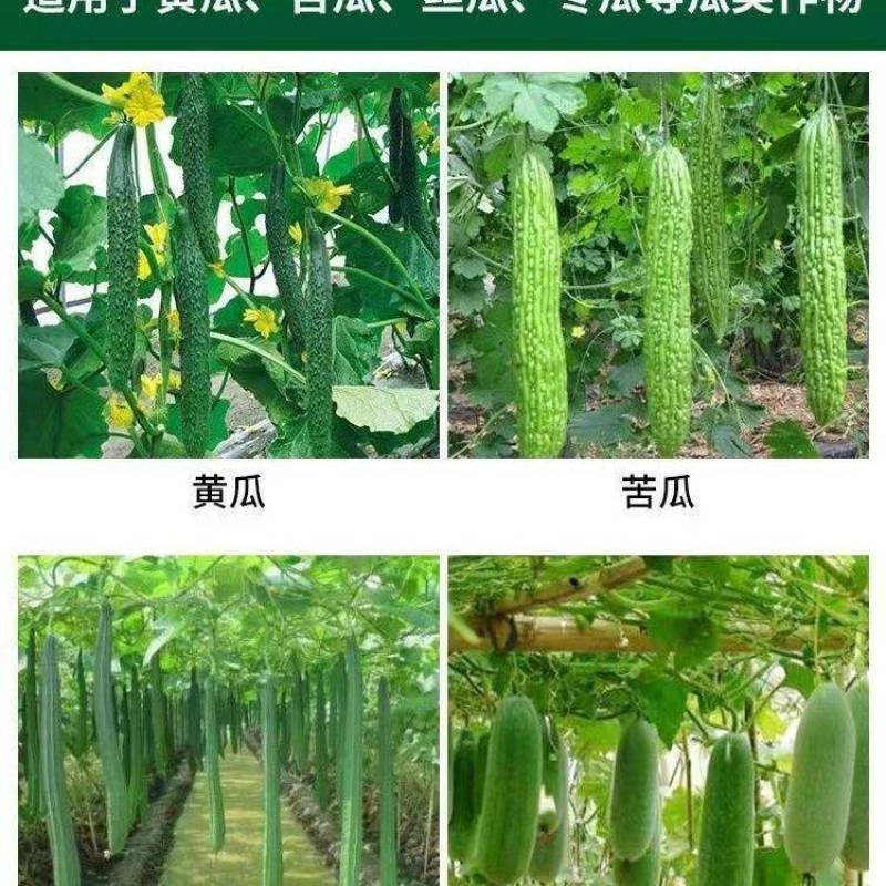 苦瓜嫩直长苦瓜专用肥保花保果膨大剂膨大素苦瓜增产抗病防畸