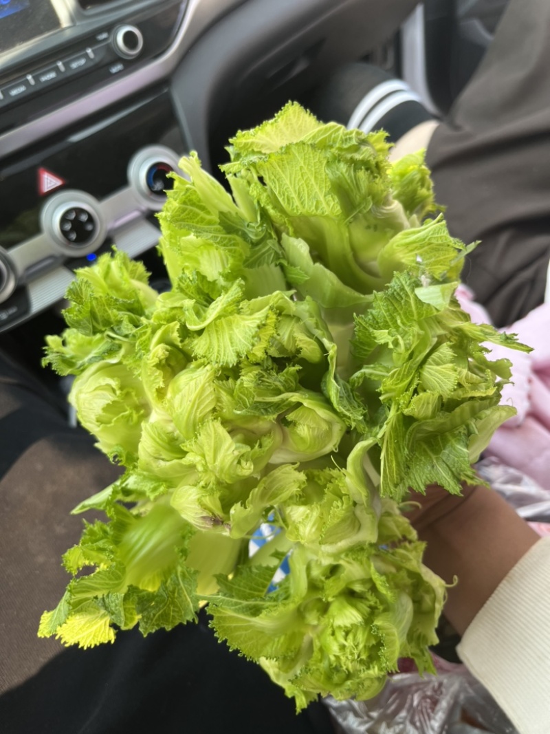 儿菜大量上市，正宗味道好，欢迎进店当天发货