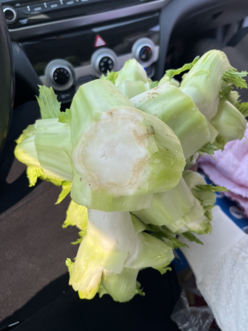 儿菜大量上市，正宗味道好，欢迎进店当天发货