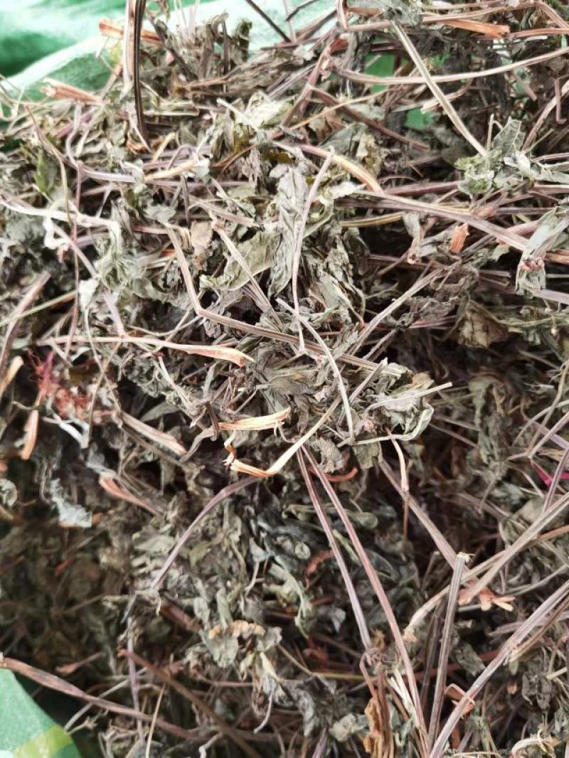三七叶统货/电话联系，需要的老板欢迎抢购联系我