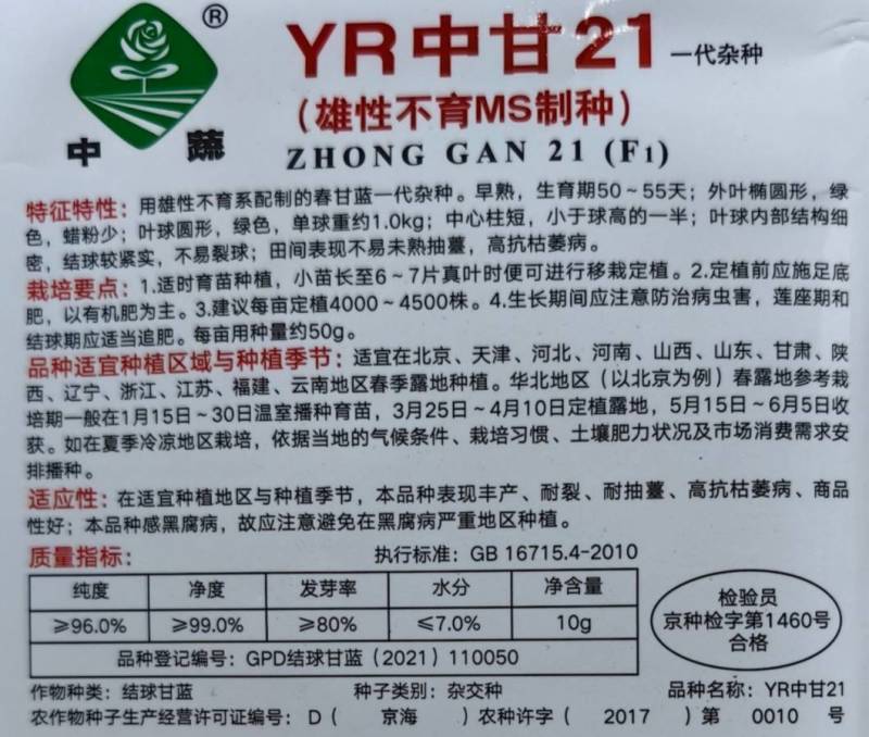 YR中甘21甘蓝种子春播早熟耐抽苔亮绿圆球抗枯萎病甘蓝