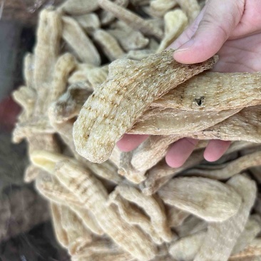 家种天麻，，无硫酸，一手货源，有大货，价格美丽