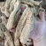 家种天麻，，无硫酸，一手货源，有大货，价格美丽