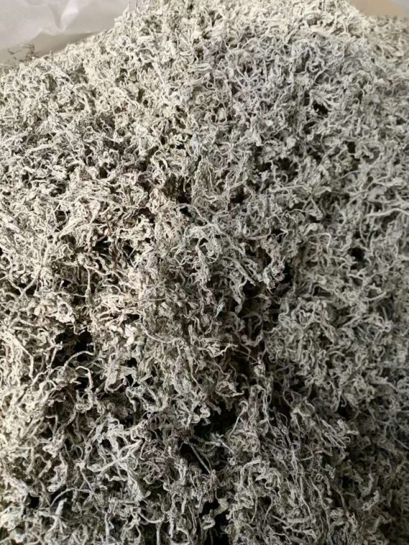 精品恩施藤茶上市一斤包邮全国可发货