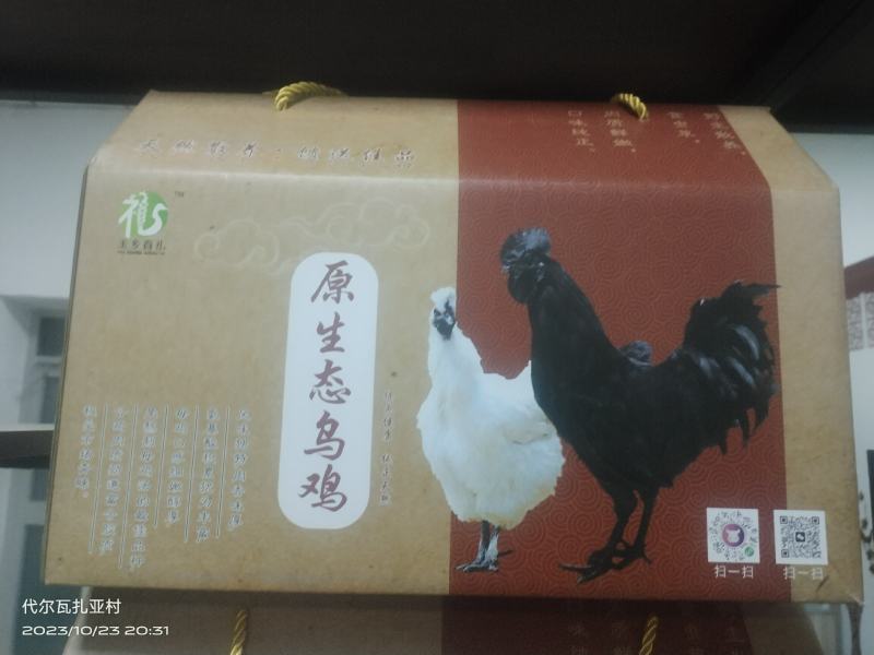 散养土鸡