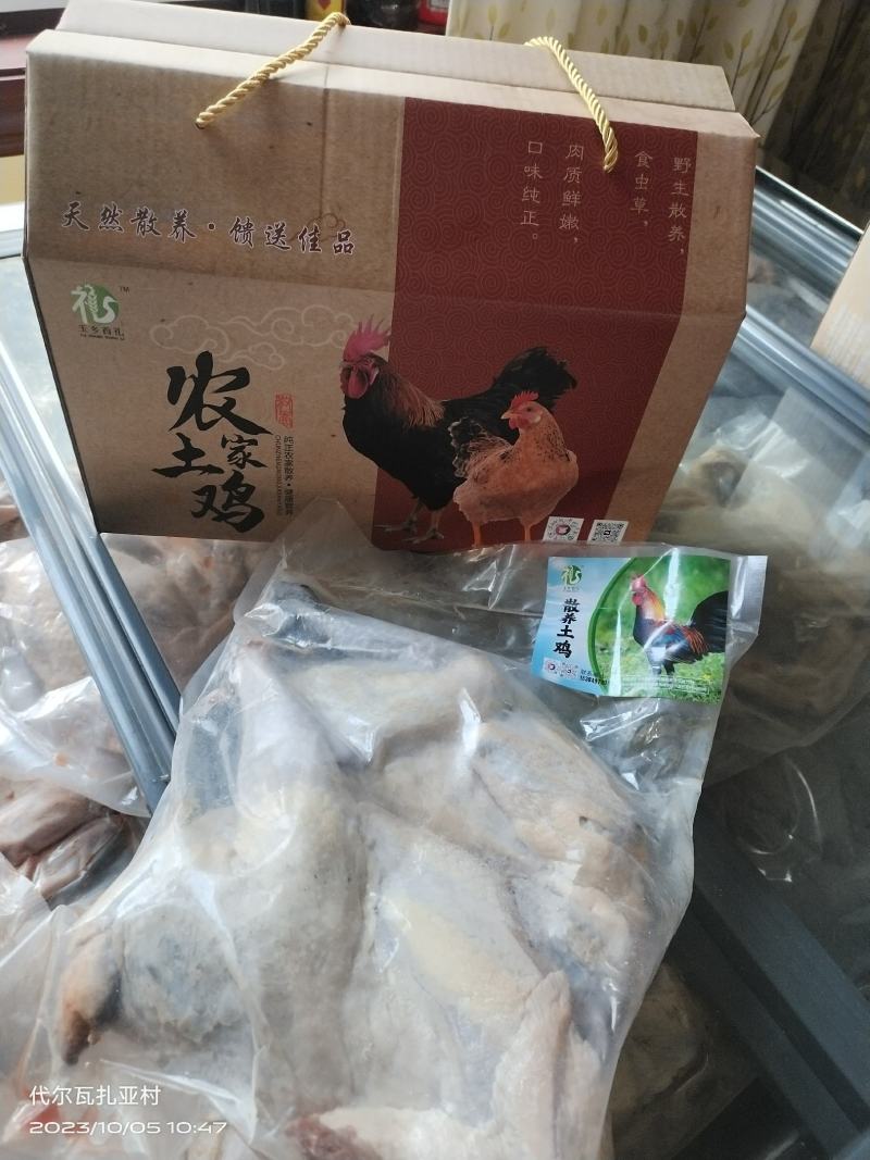 散养土鸡