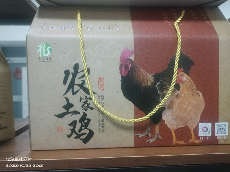 散养土鸡