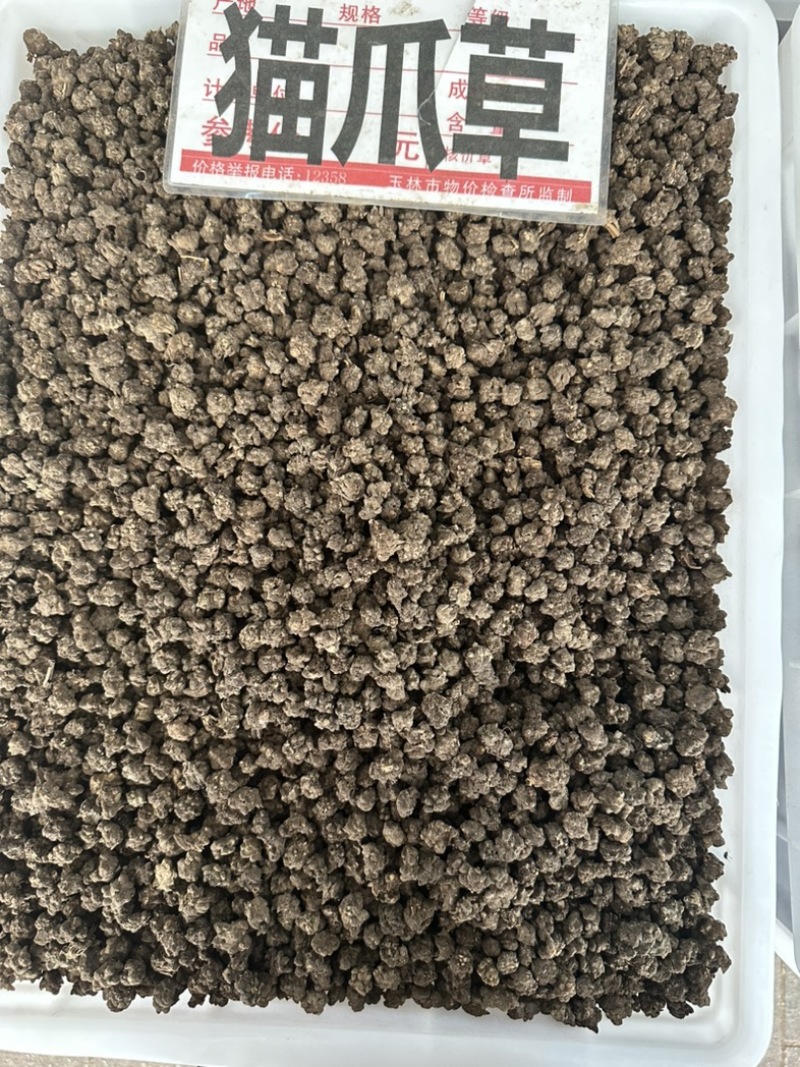 野生猫抓草，水洗货，有大货，价格美丽，规格齐全