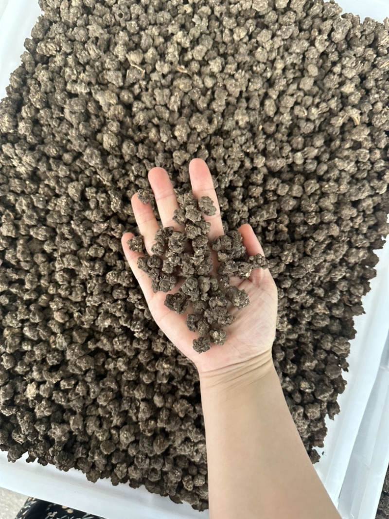 野生猫抓草，水洗货，有大货，价格美丽，规格齐全