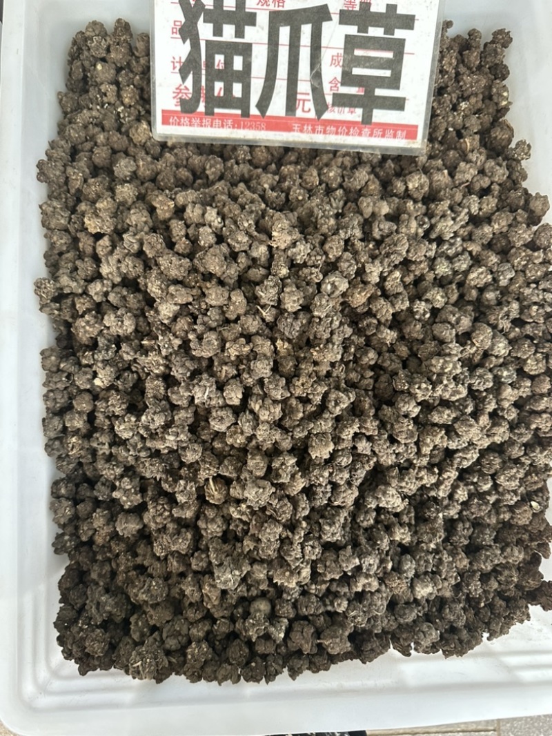 野生猫抓草，水洗货，有大货，价格美丽，规格齐全