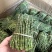 铁皮石斛新鲜