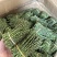 铁皮石斛新鲜