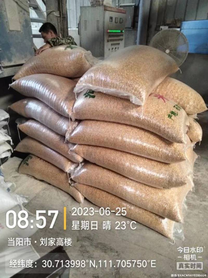 敬精品玉米粒货源充足量大从优质量保证欢迎咨询