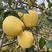 山东维纳斯黄金苹果种植基地供应全国超市批发市场加工厂电联