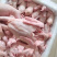 新鲜乳鸽5-9两量大从优货源充足，价格优惠