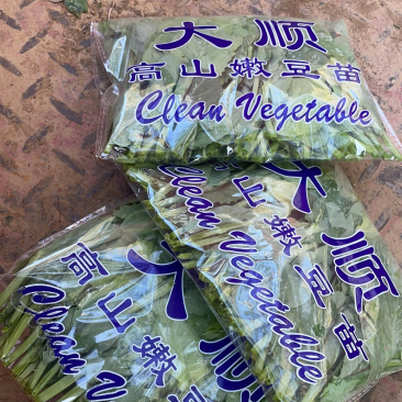 精品大叶豌豆尖一手货源欢迎新老顾客前来咨询