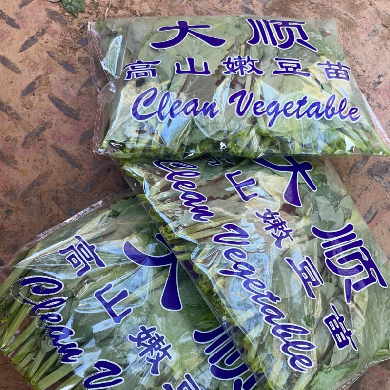 精品大叶豌豆尖一手货源欢迎新老顾客前来咨询