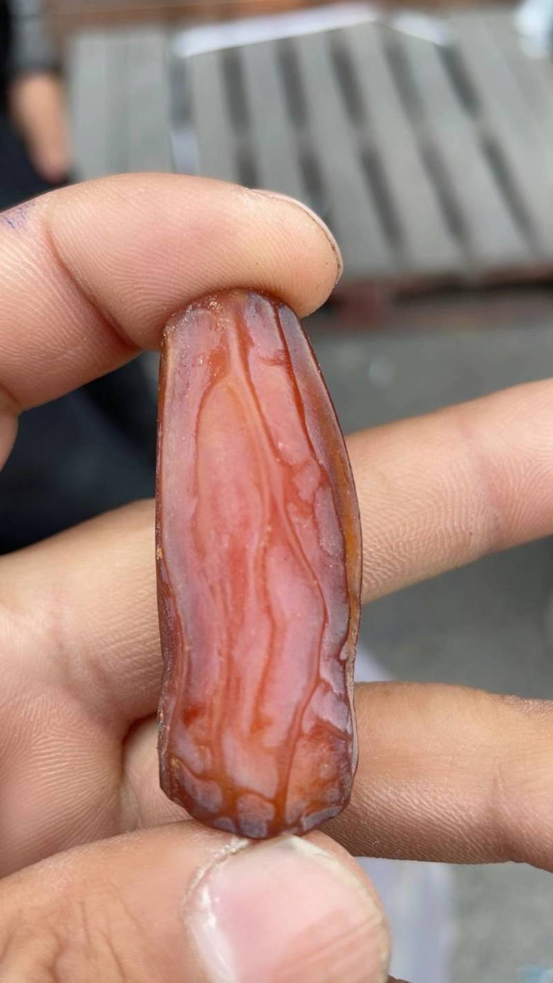 沙特椰枣