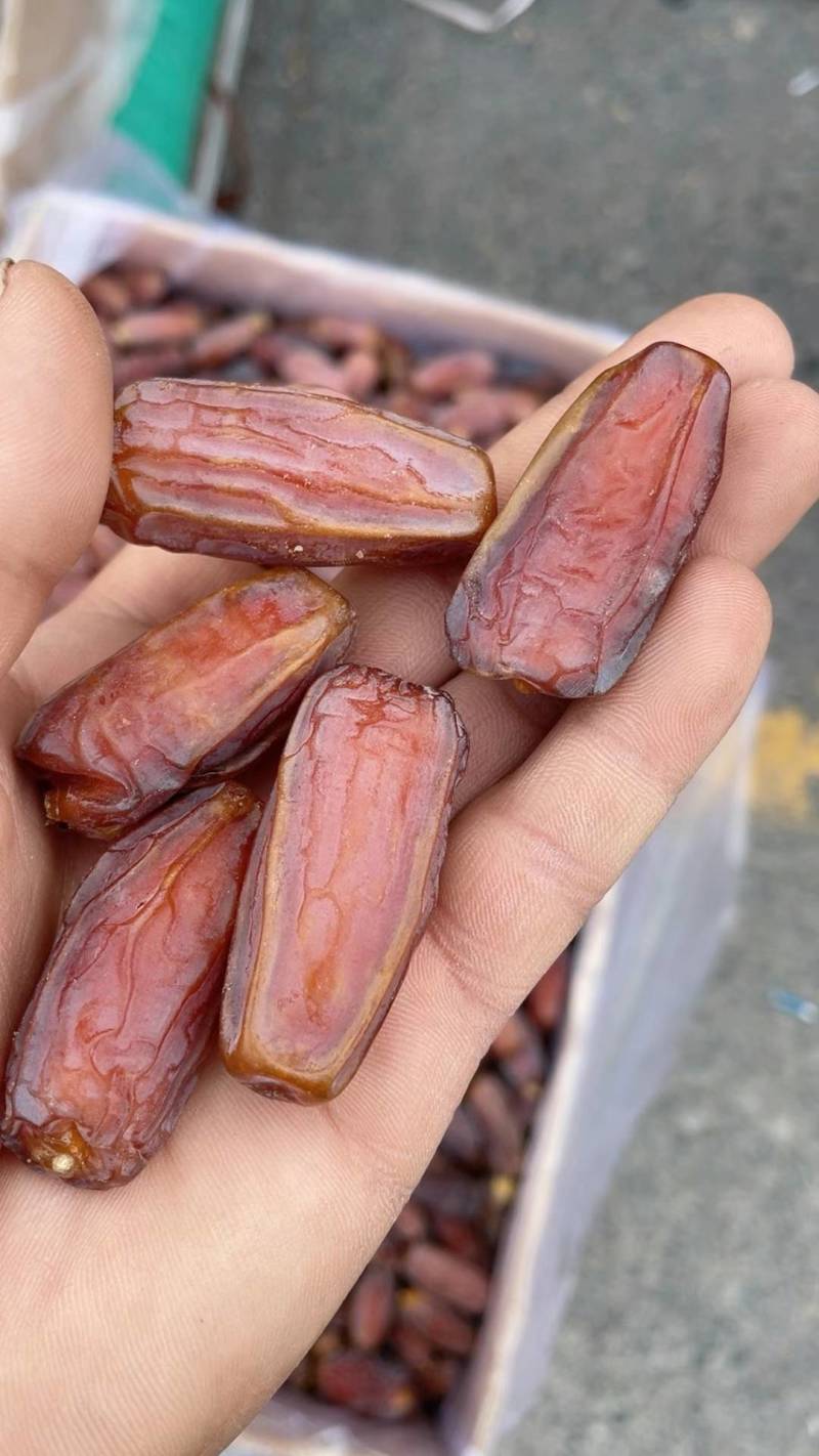 沙特椰枣