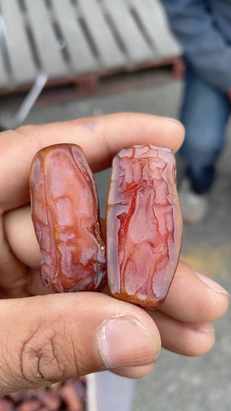 沙特椰枣