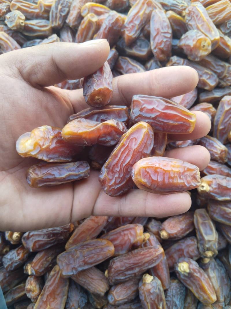 沙特椰枣