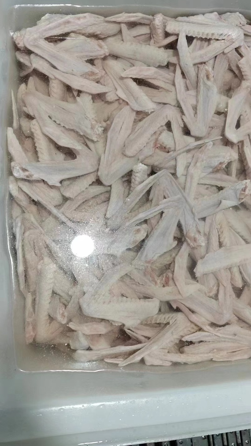 新鲜黑棕鹅鹅翅，掌翅大量现货，欢迎大家来电采购