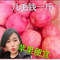 【正宗脆甜】山东红富士苹果蒙阴冷库红富士苹果沂源苹果