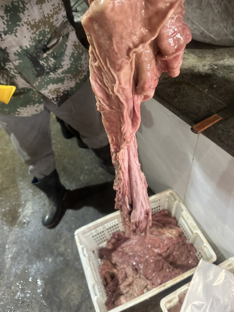 牛伞巴子
