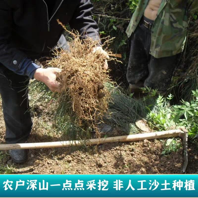 神农架野生麦冬正品麦冬茶250g无硫药材