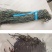 干豆角，优质精选，金寨特产