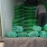山东精品芹菜万亩芹菜大量上市中色泽鲜艳代加工包装