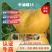 中油蟠15，8月中油蟠桃苗200-350克，离核黄肉浓甜