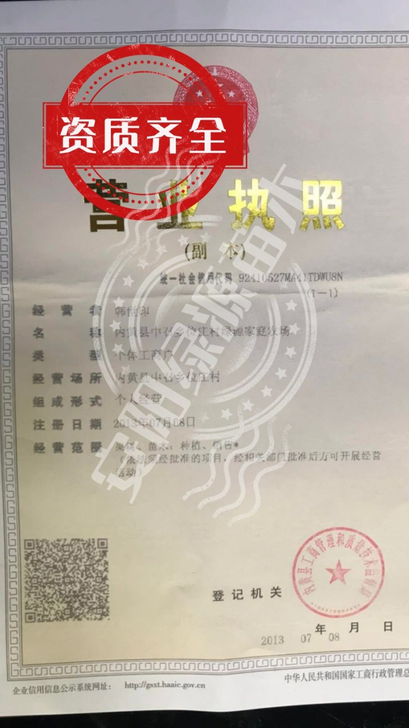 中油蟠15，8月中油蟠桃苗200-350克，离核黄肉浓甜