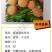 新品种中桃金典7月下毛桃苗均果260-450克脆甜硬容质