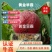 黄金早霸6月中桃树苗240-400克糖13另毛桃苗蟠桃苗