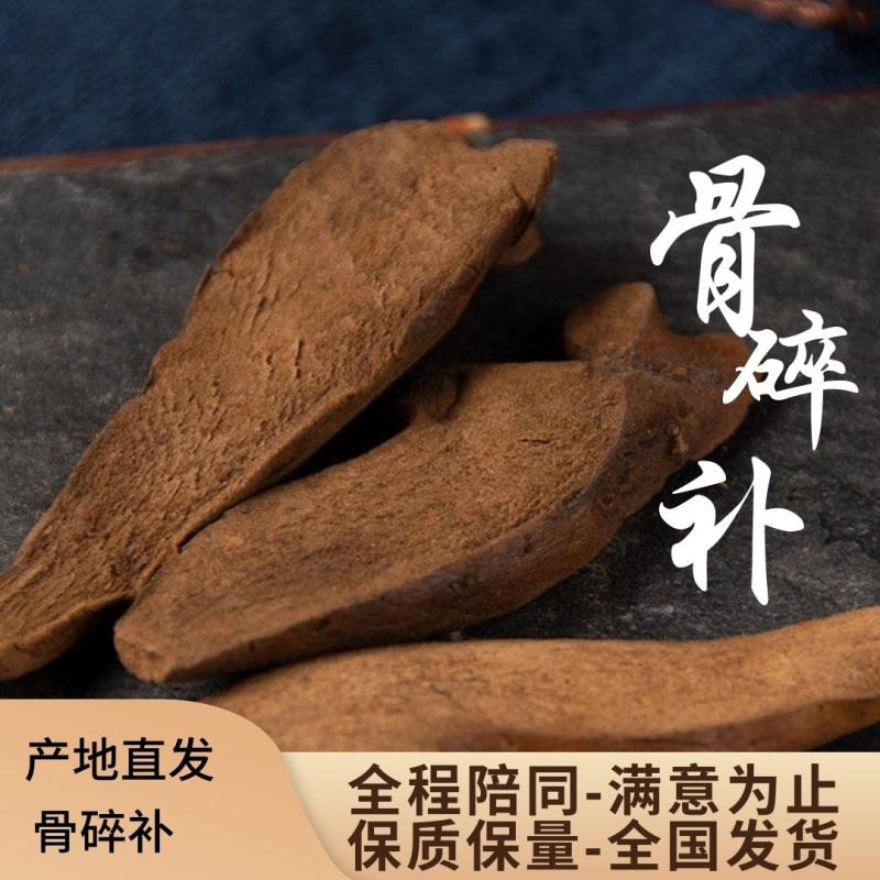 骨碎补一手货源，纯野生，供货稳定，产地供应，欢迎各位咨询