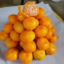 【精选柑橘】叶桔蜜橘湖南直发规格齐全量大从优新鲜采摘电联优惠