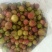 中小仔山油茶果