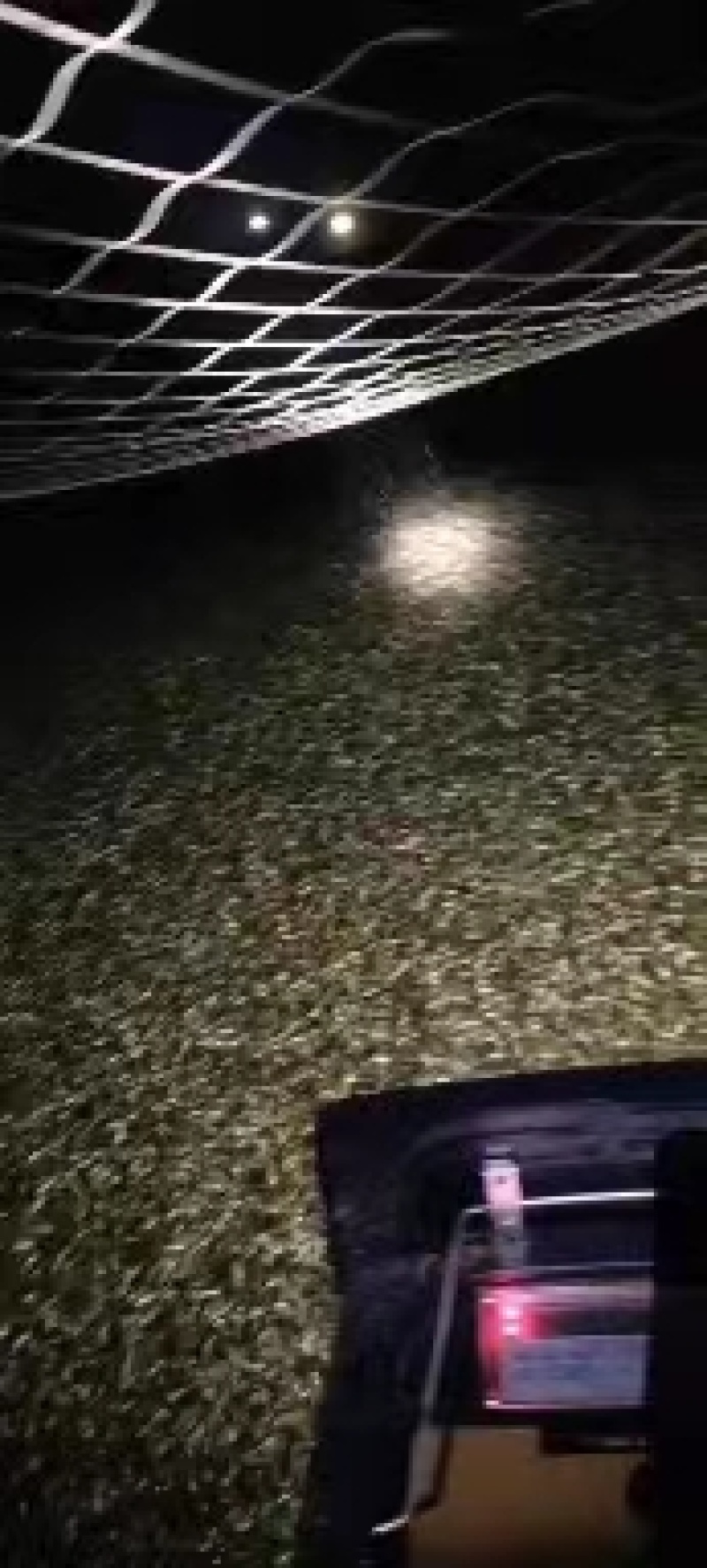精品泥鳅，台湾泥鳅，大中小，各种规格，专业养殖基地