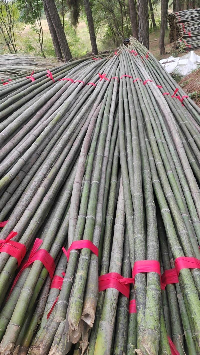 竹竿(精品)，产地直发，量大价优！欢迎咨询！